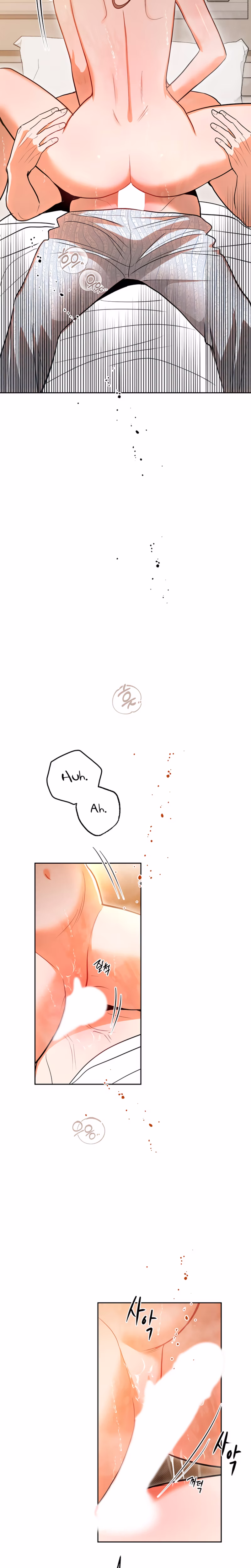 Page 26 of Chapter 53
