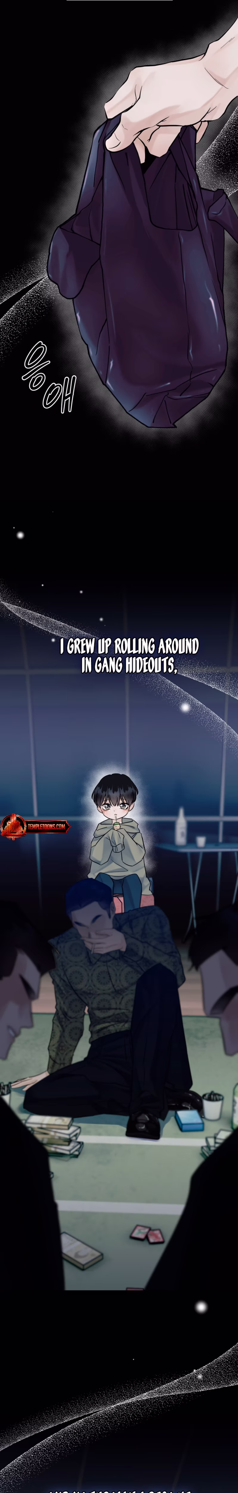 Page 17 of Chapter 22