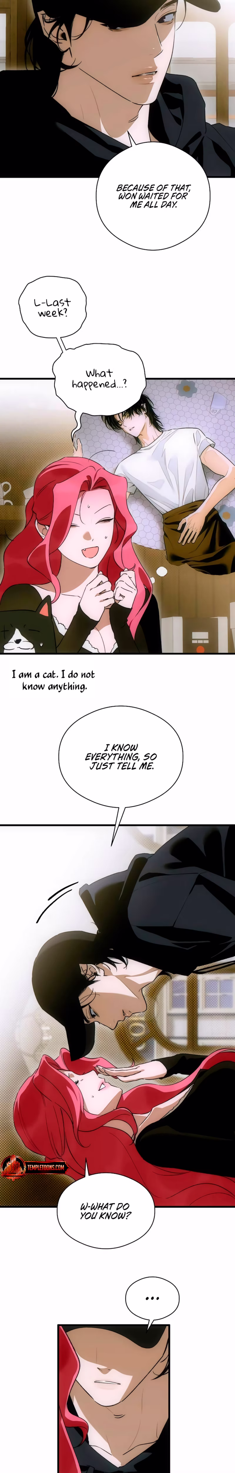 Page 20 of Chapter 84