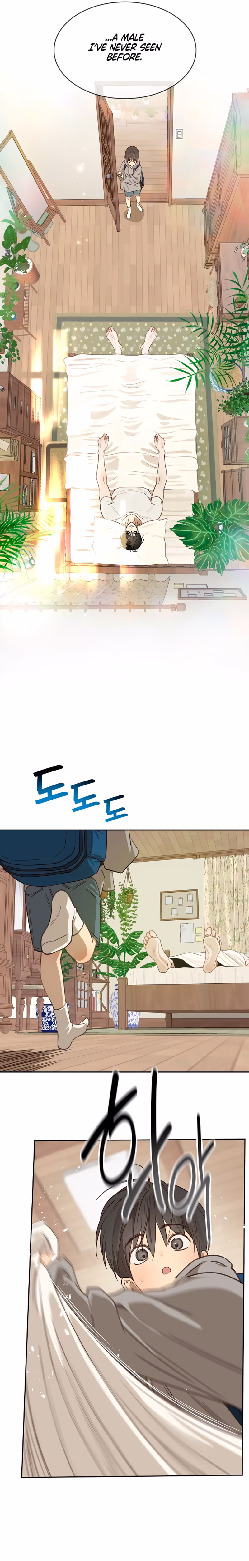 Page 13 of Chapter 15