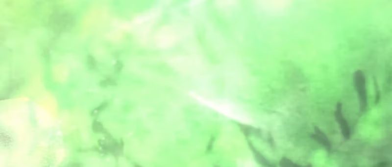 Page 33 of Chapter 93