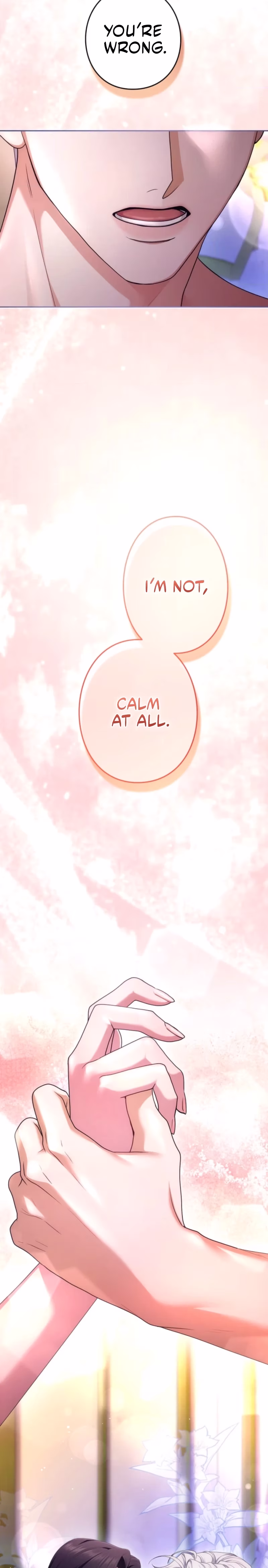 Page 17 of Chapter 96