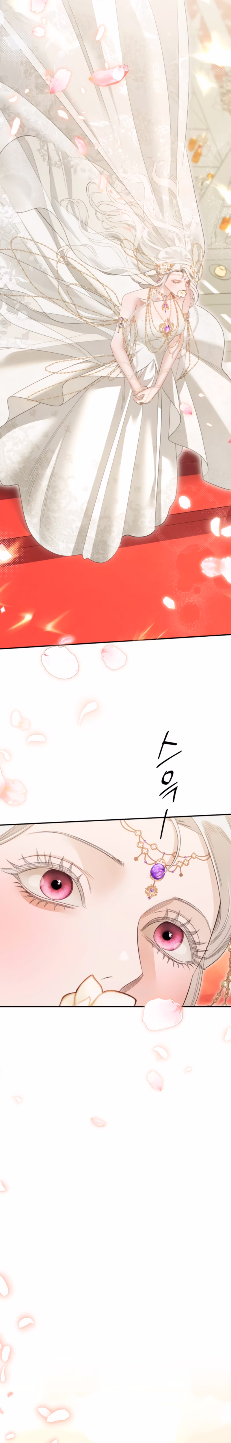 Page 21 of Chapter 79