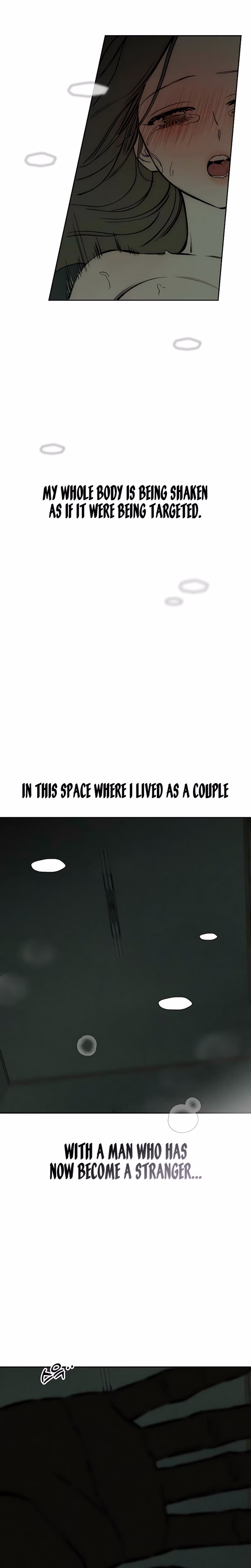 Page 17 of Chapter 39