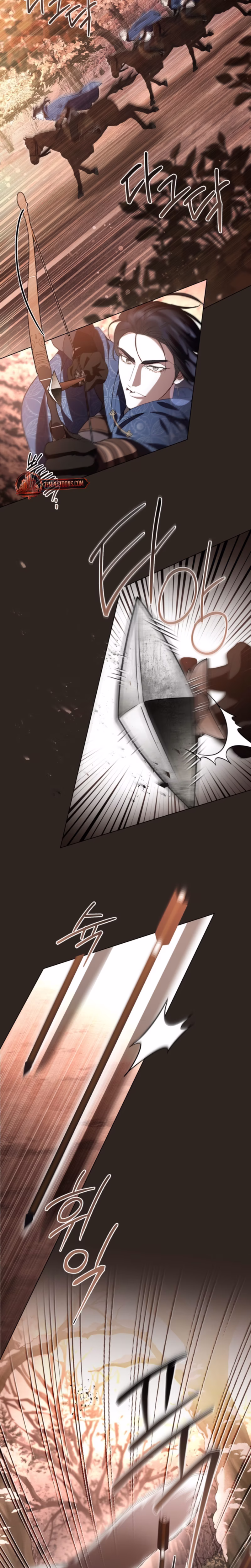 Page 17 of Chapter 74